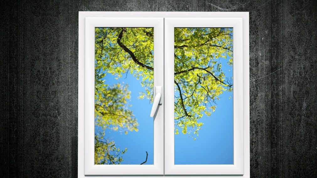 White window with view of tree branches