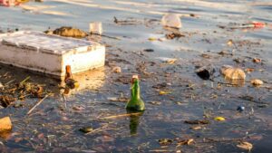 Polluted water with floating trash and debris