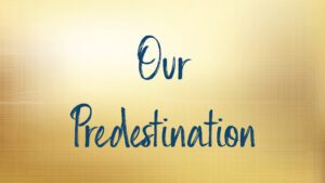 Text says Our Predestination on golden background