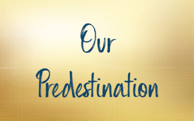 Our Predestination