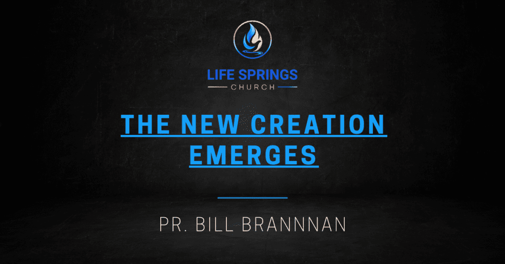 Life Springs Church New Creation Emerges Event