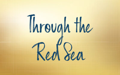 Through the Red Sea