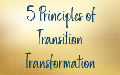 5 Principles of Transition/Transformation