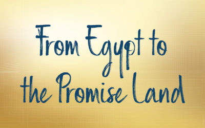 From Egypt to the Promise Land