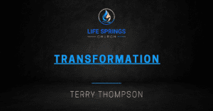 Life Springs Church Transformation Terry Thompson Presentation