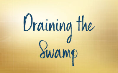 Draining the Swamp