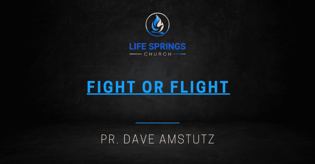 Life Springs Church Fight or Flight event