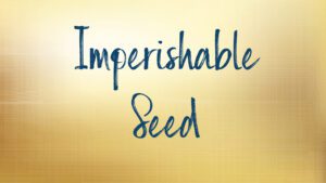 "Imperishable Seed text on golden background"