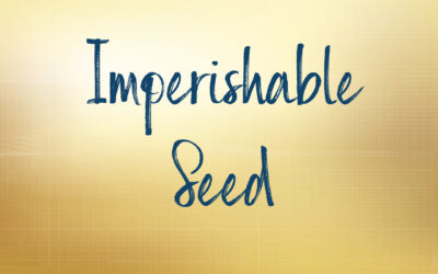 Imperishable Seed