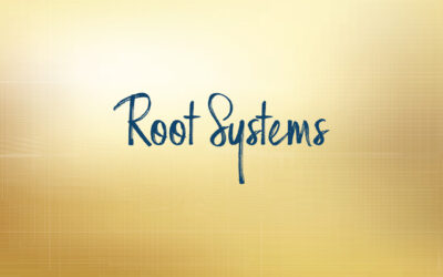 Root Systems