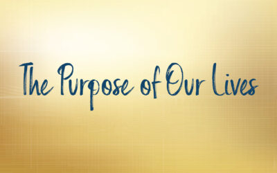 The Purpose of Our Lives