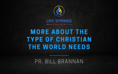 More About the Type of Christian the World Needs