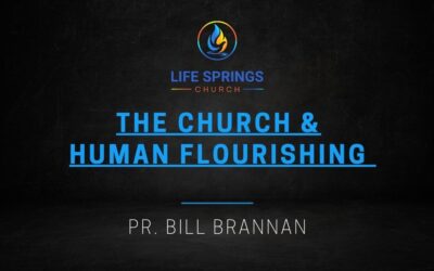 The Church and Human Flourishing