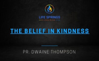 The Belief in Kindness