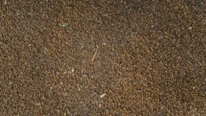 Close-up view of brown organic flax seeds