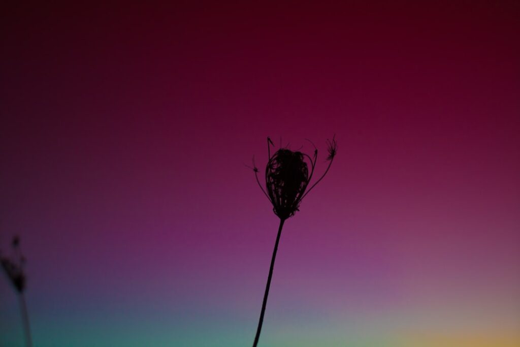 Photo Rainbow sunset