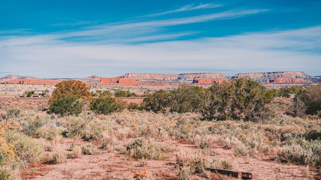 Photo Desert landscape