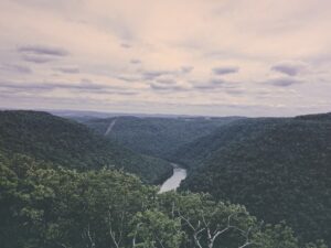 Photo Overflowing Stream