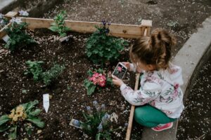 Photo Community garden