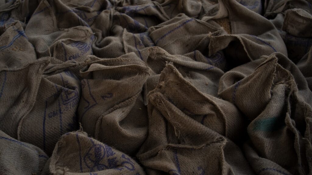 Photo Community gathering