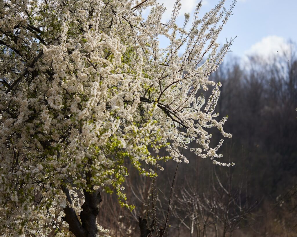 Photo Human Flourishing