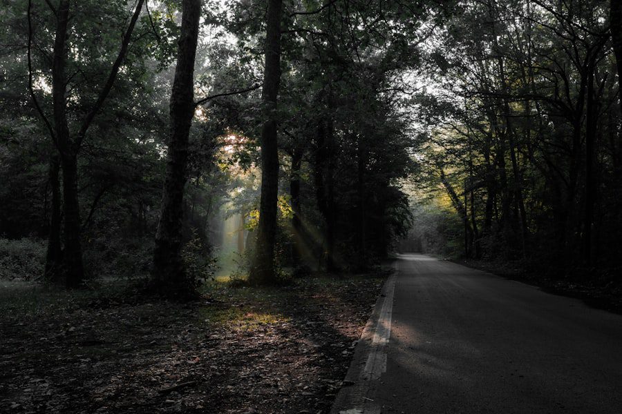 Photo Human Flourishing