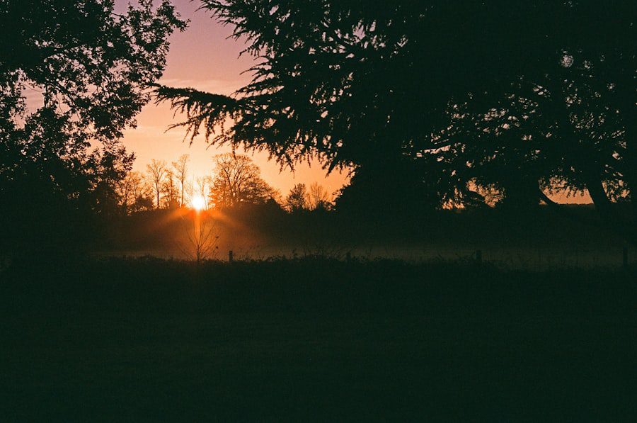 Photo Kingdom of Light