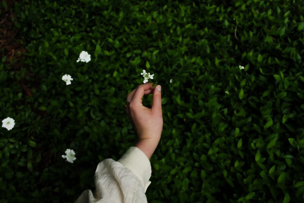 Photo Human Flourishing