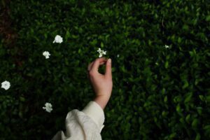 Photo Human Flourishing